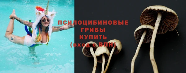 шишки Балахна