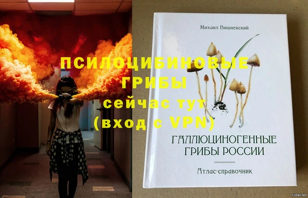 шишки Балахна